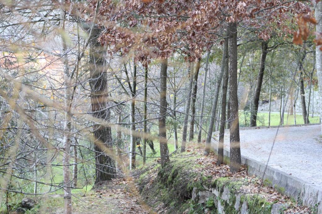 Quinta De Santa Cruz Canelas (Penafiel) Ngoại thất bức ảnh